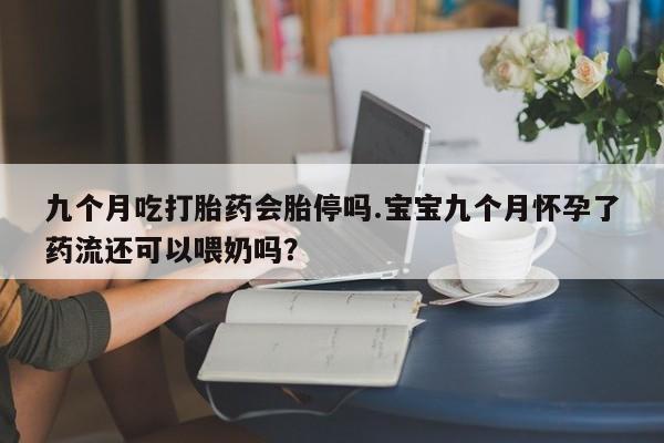 哪里有打胎药购买九个月吃打胎药会胎停吗.宝宝九个月怀孕了药流还可以喂奶吗？