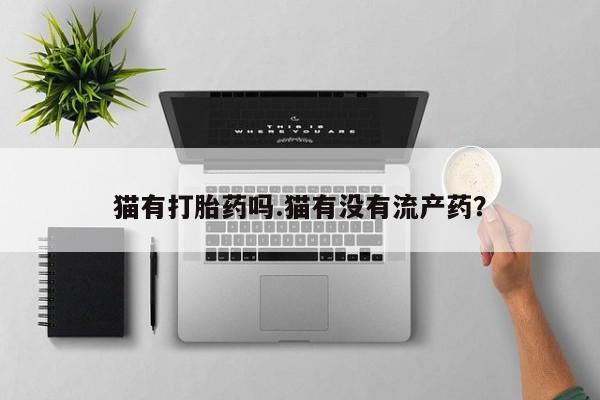 哪里有打胎药购买猫有打胎药吗.猫有没有流产药？