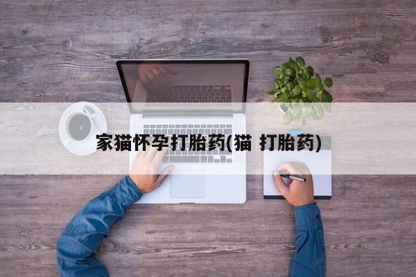 哪里有打胎药购买家猫怀孕打胎药(猫 打胎药)